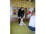 Новый год 2017