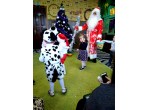 Новый год 2018