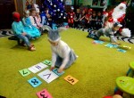 Новый год 2018